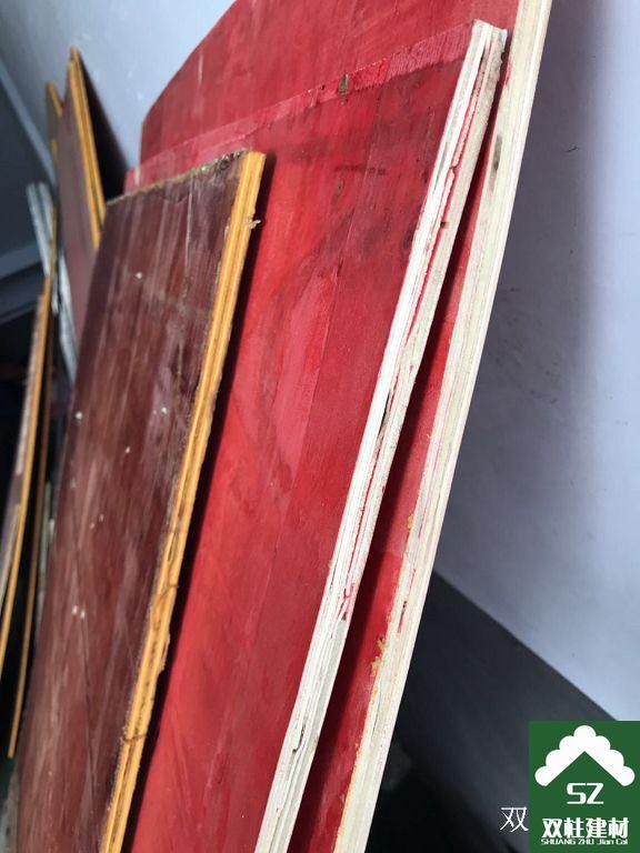 建筑模板生產(chǎn)車間 (149).jpg