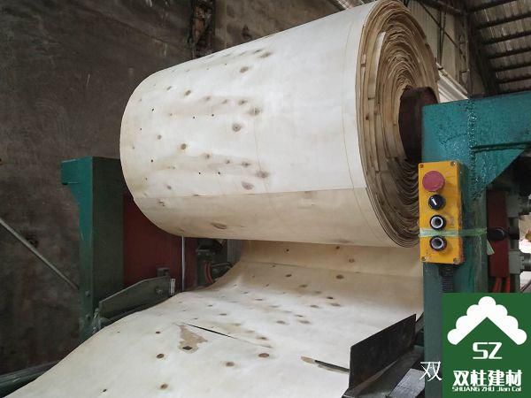 建筑模板生產(chǎn)車間 (166).jpg