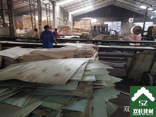 建筑模板生產(chǎn)車間 (168).jpg