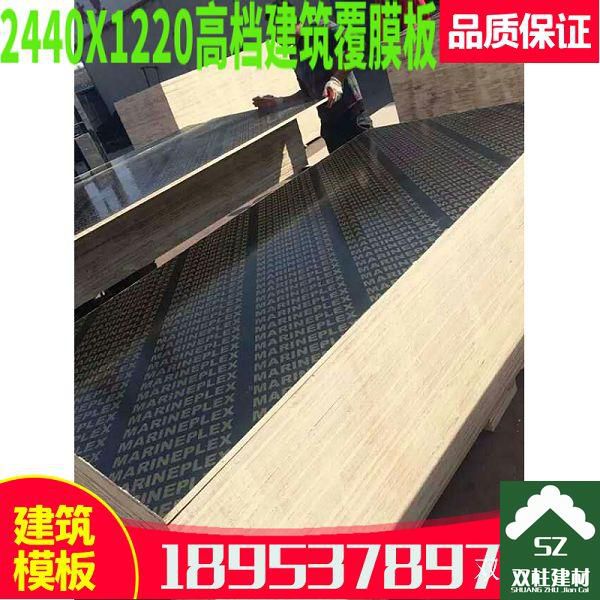 ģa(chn)܇g (66).jpg