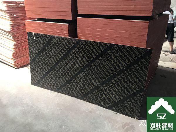 建筑模板生產(chǎn)車間 (145).jpg